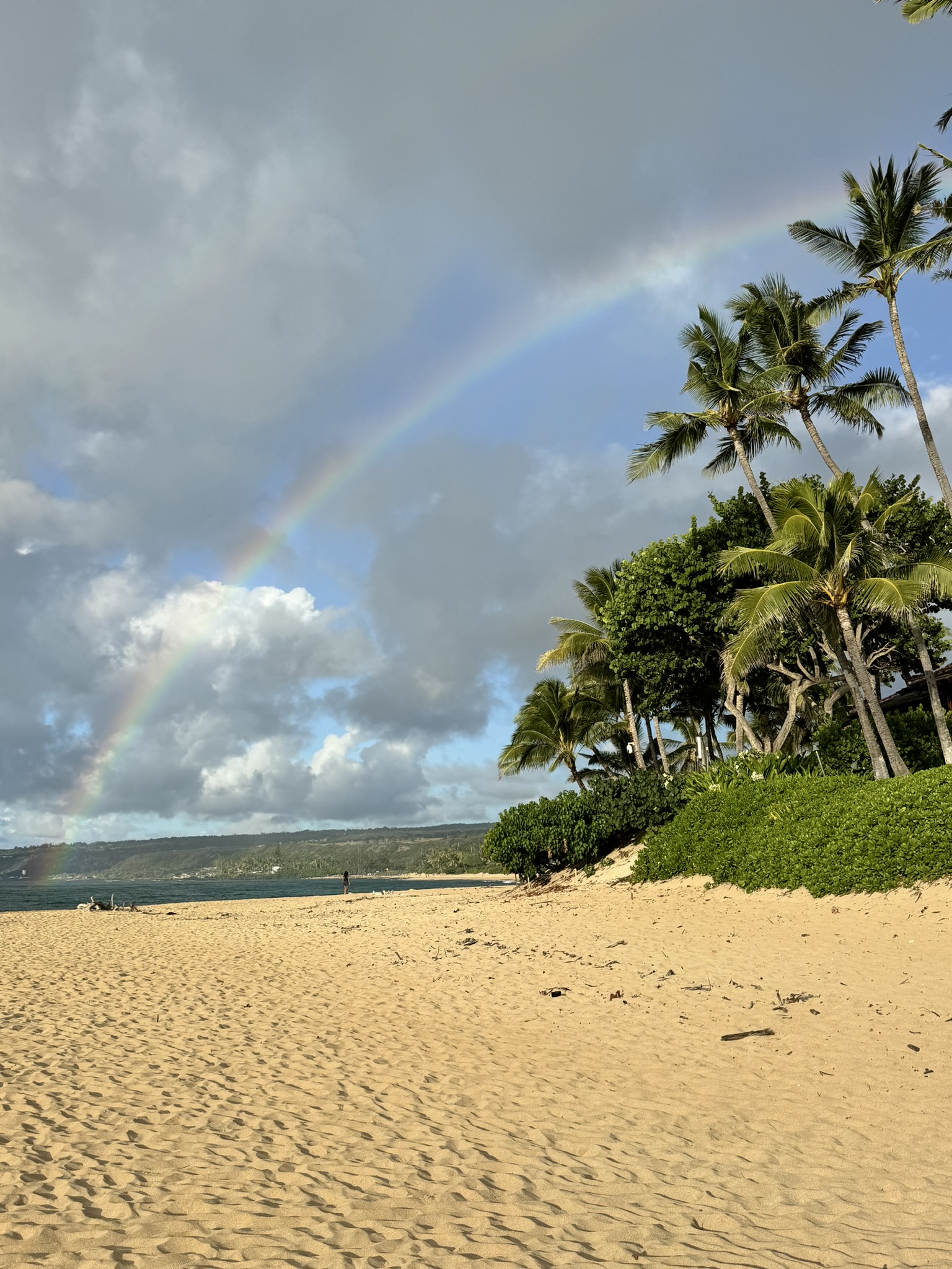 Tropical agricultural landscape in Hawaii
