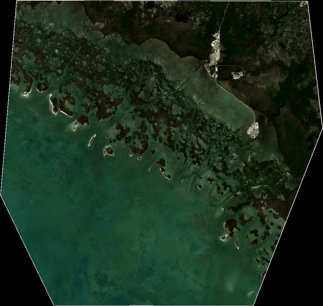Annual Sentinel-2 views of the Ten Thousand Islands coastal landscape from 2018 to 2025