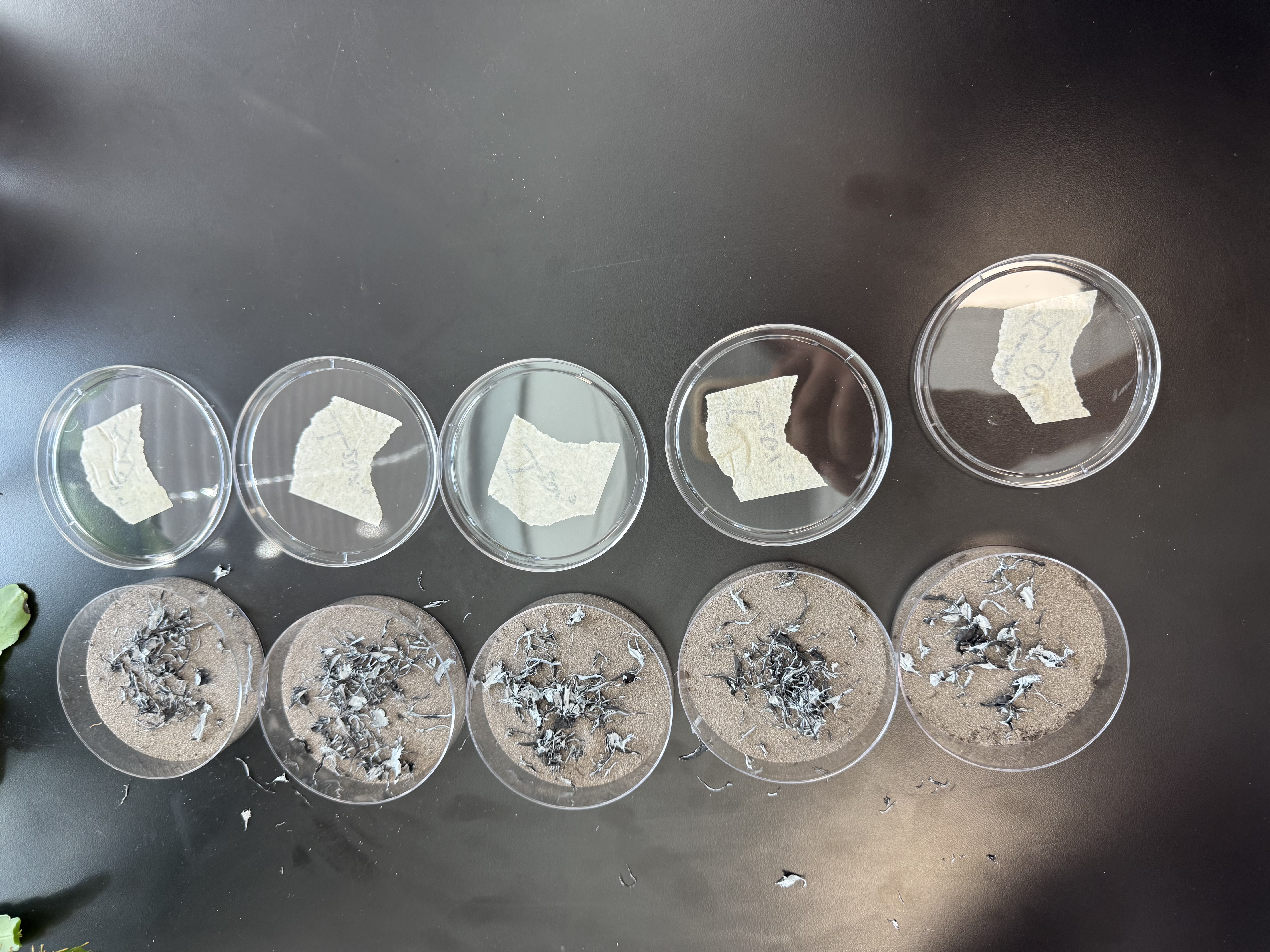 Lab Protocols & Pipelines