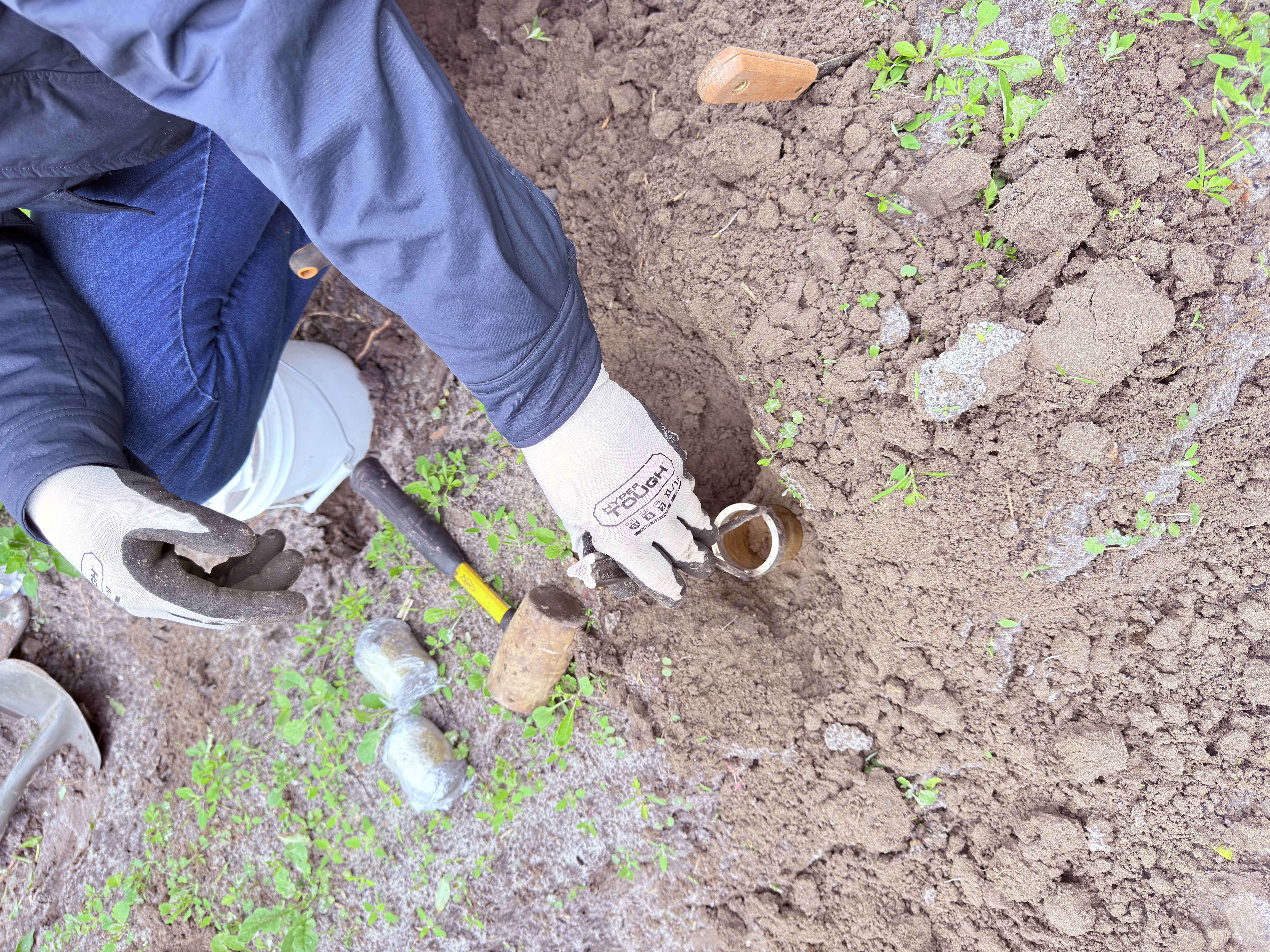 Field Sampling image 1