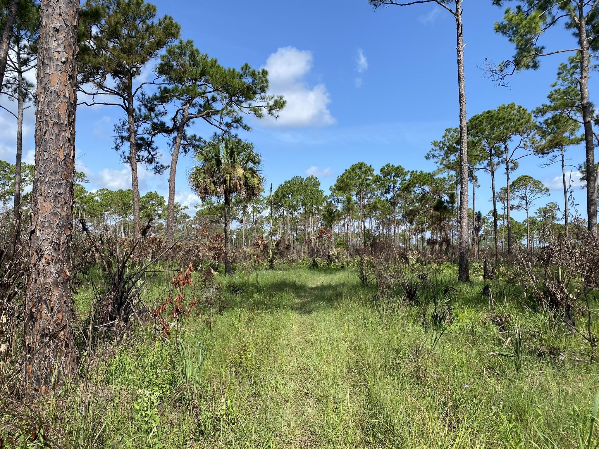 Field Sampling image 2