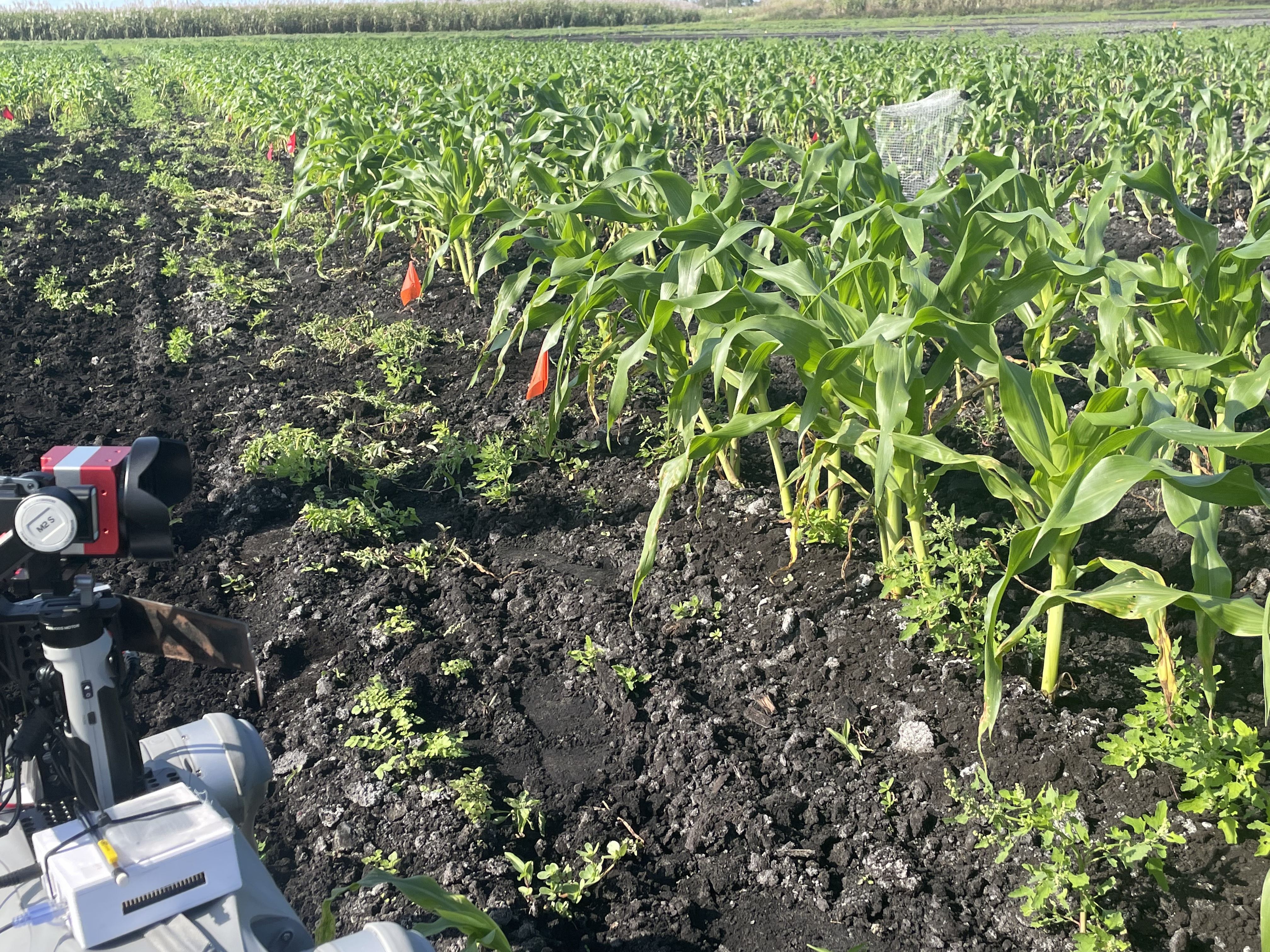 Multi‑Sensor RobotDog Platform image 3