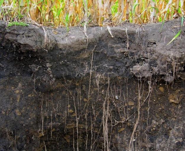 Soil organic carbon mapping context