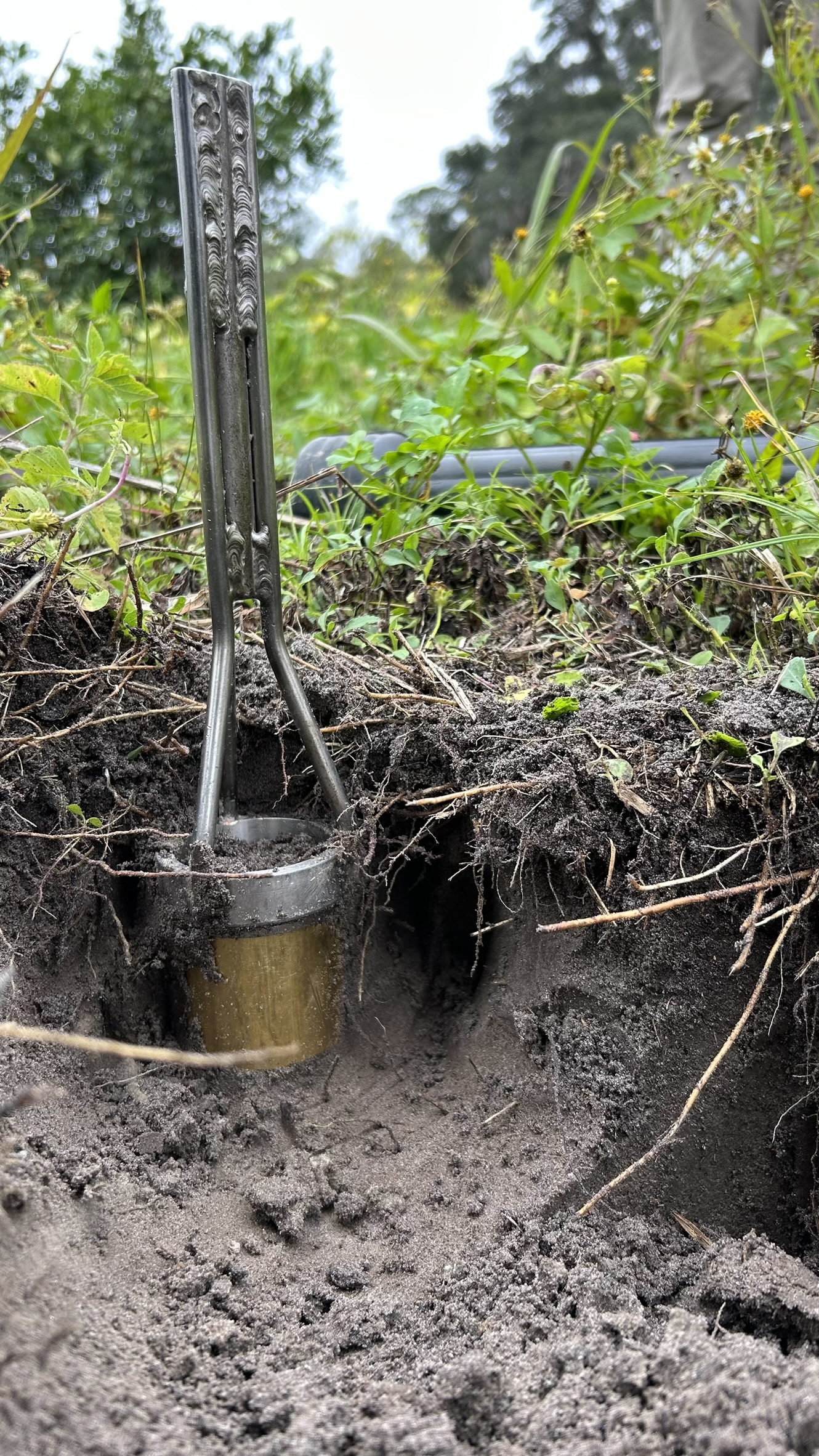 Field sampling and environmental monitoring